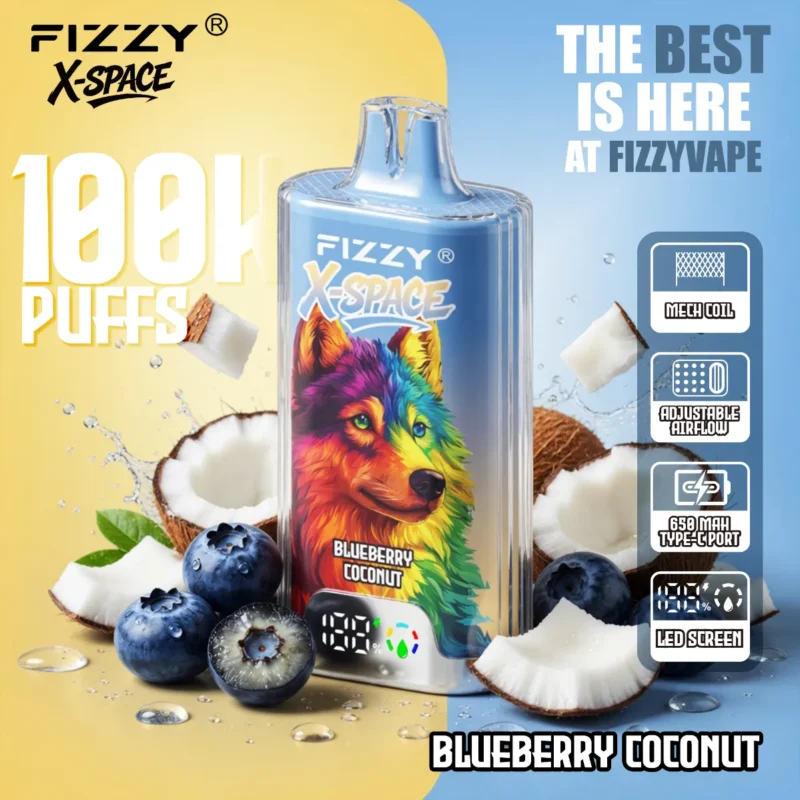 dh-vape-eu-warehouse-fiizy-x-space-ブルーベリー・ココナッツ