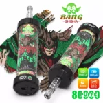 Dhvape Bang Blaze Puffs Einweg-Vape Design 2