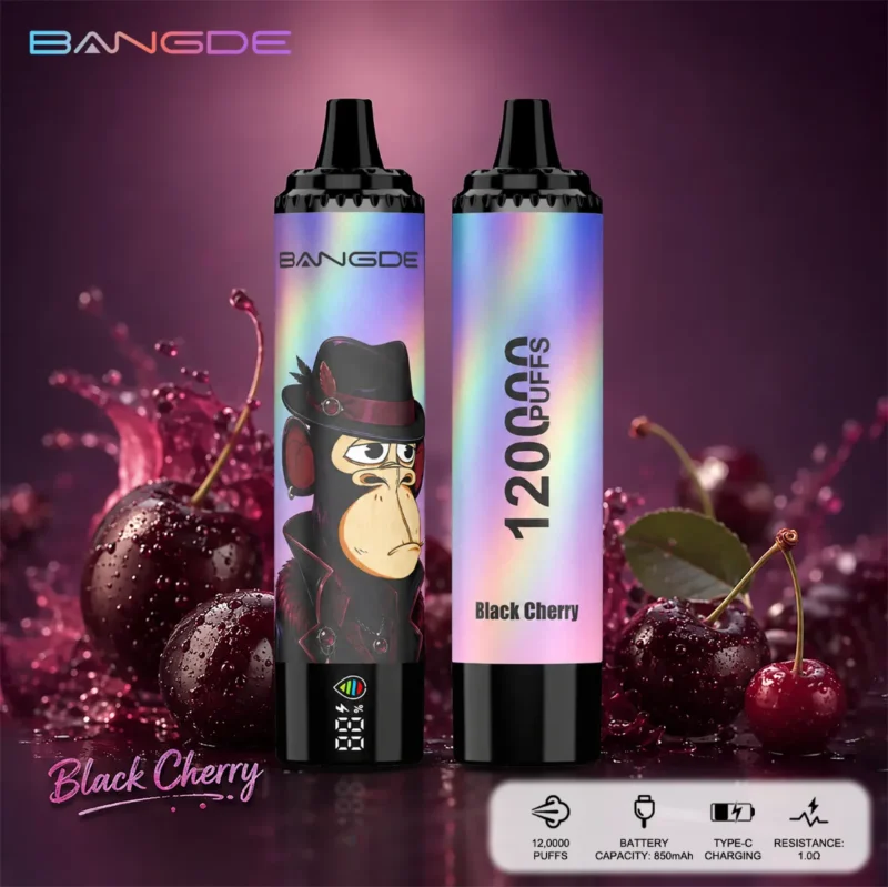 Dh Vape EU Lager Einweg 1787131141