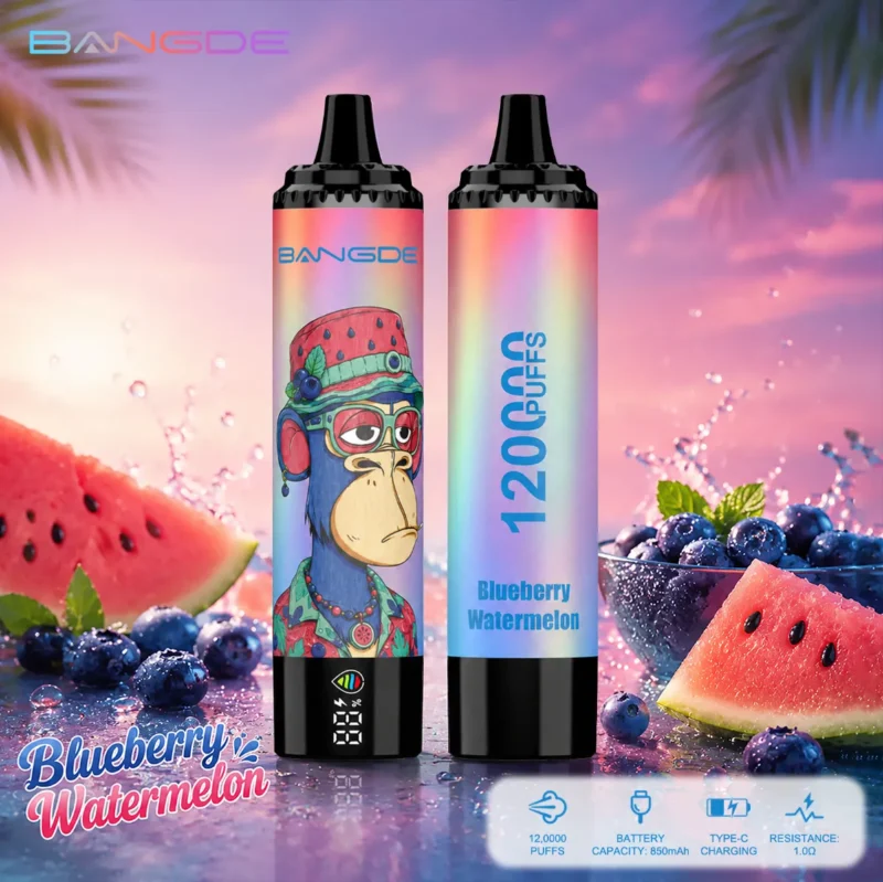 Dh Vape EU-Lager Einwegprodukt 1787131144