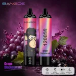Dh Vape EU-Lager Einwegprodukt 1787131149