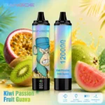 Dh Vape EU-Lager Einwegprodukt 1787131151