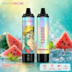 Dh Vape EU-Lager Einwegprodukt 1787131160