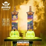 Dh Vape EU倉庫 使い捨てタイプ 1786782474