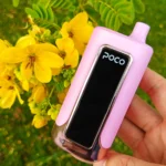 Vista del vaporizador desechable «Eu Warehouse Poco Fr»