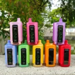 Imagen del vaporizador desechable «Eu Warehouse Poco Fr»